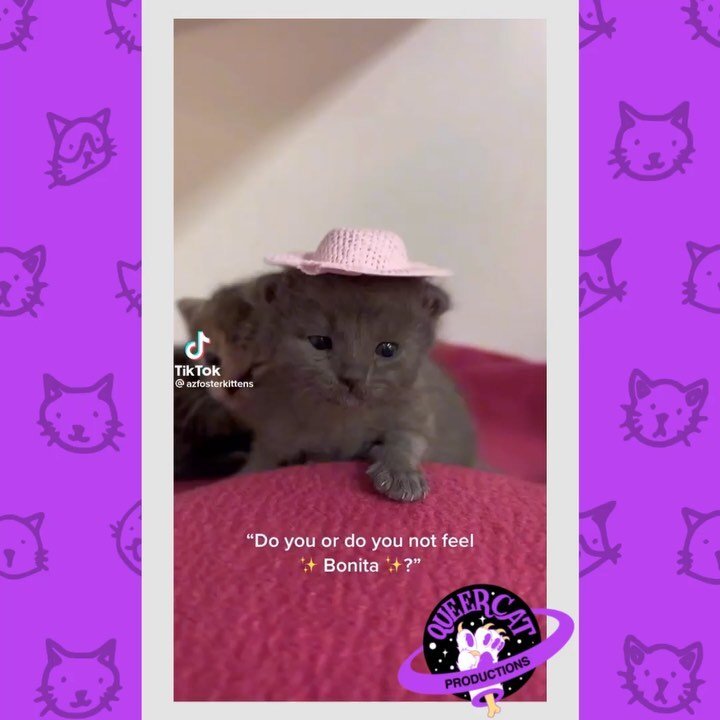 We&rsquo;re celebrating the start of the weekend with a fresh batch of our favorite #CatToks this week! 🐱🌷
[ID 1: @/azfosterkittens&rsquo; video of two  small kittens on a fuzzy blanket; one is wearing a tiny pink hat as an audio clip plays with c